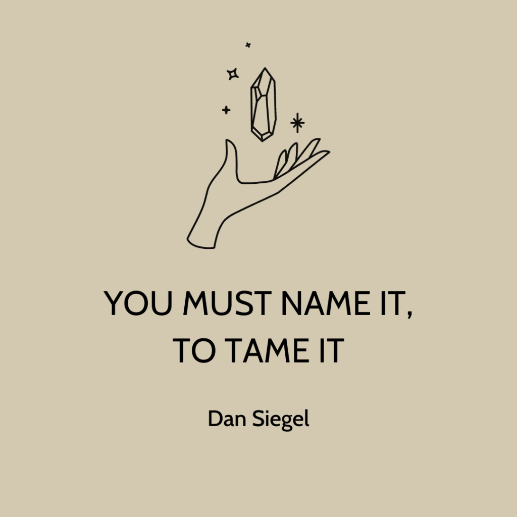 Quotation from Dan Siegel